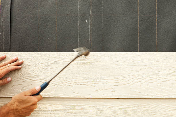 Best Vinyl Siding Installation  in St Ann, MO